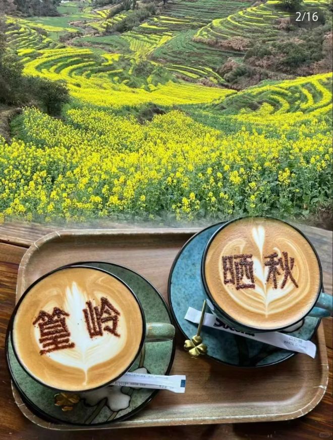 赏油菜花、秋观晒秋玩转最美乡村！2025婺源4天自由行攻略：春(图3)